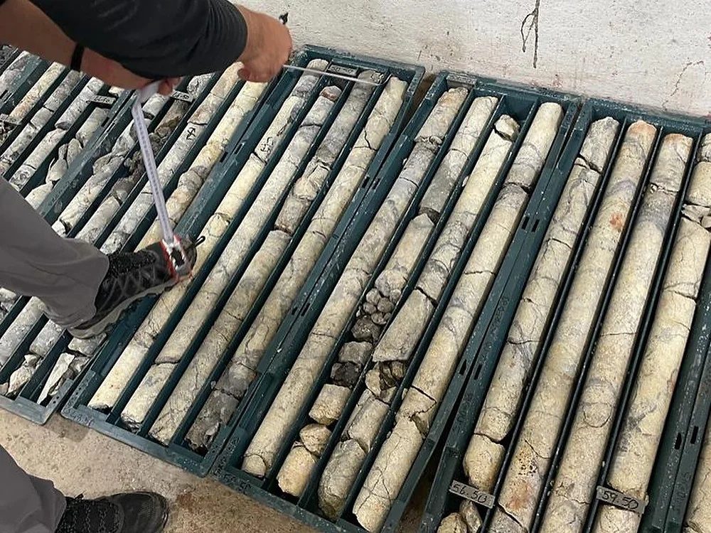 Kalite Güvencesi ve Kontrolü (QA/QC)
